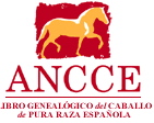 logo_ancce
